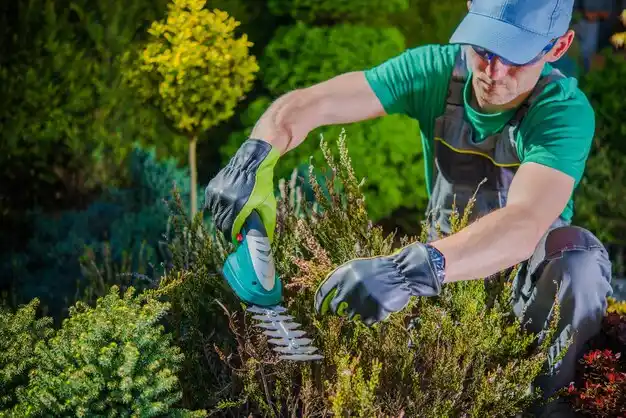 landscaping services Springboro